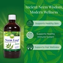 basic-ayurveda-neem-leaf-juice-16-23-fl--3.jpg