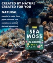 sea-moss-capsule-complex-with-sea-moss-b-6.jpg