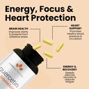 luma-nutrition-quercetin-500mg-quercetin-5.jpg