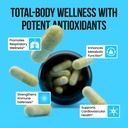 quercetin-500mg-supplement-with-sambucus-3.jpg