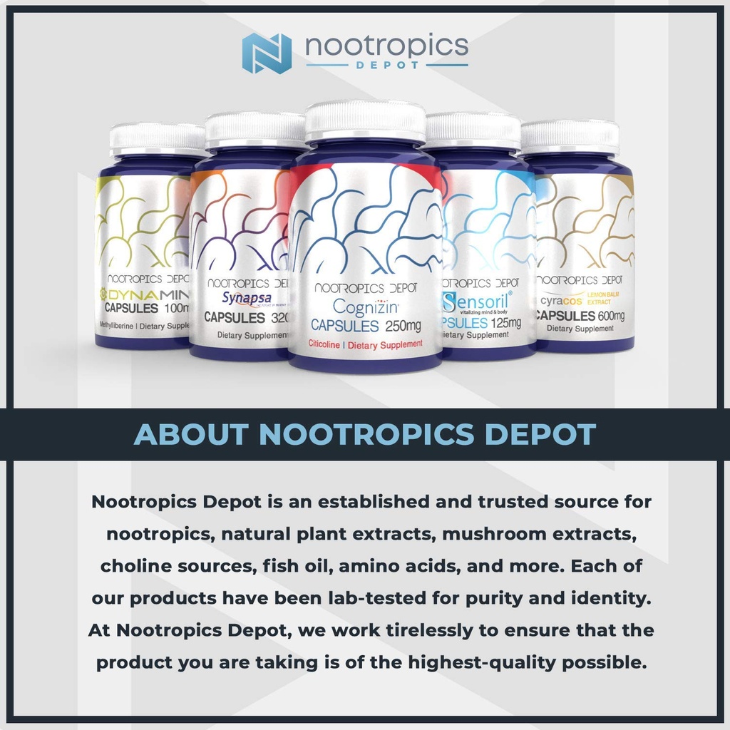 nootropics-depot-quercetin-tablets-500mg-3.jpg