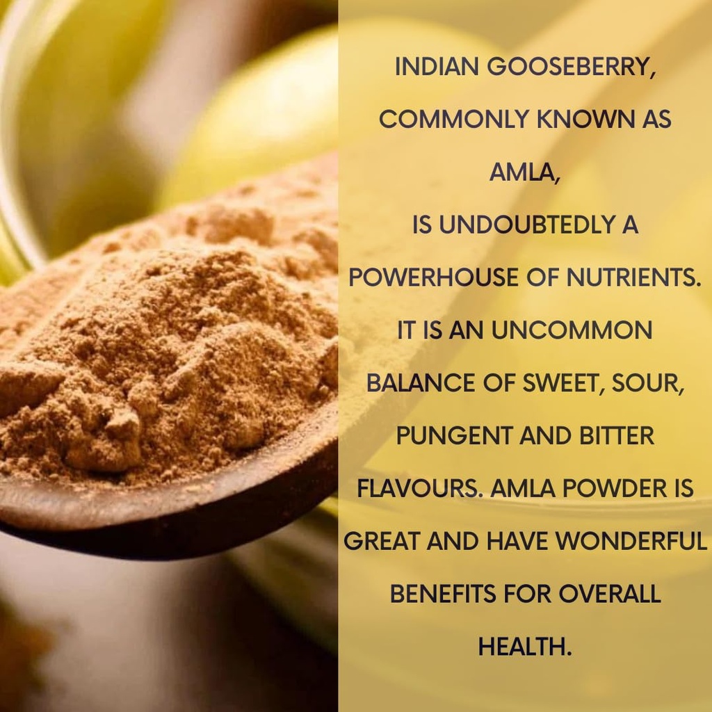 mganna-100-natural-amla-indian-gooseberr-5.jpg