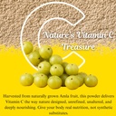 basic-ayurveda-amla-powder-7-05-oz-200g--4.jpg