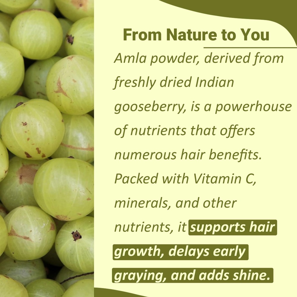 minature-100-pure-amla-powder-100g-3-5-o-2.jpg