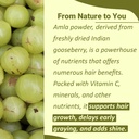 minature-100-pure-amla-powder-100g-3-5-o-2.jpg