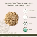 starwest-botanicals-organic-ginger-root--4.jpg