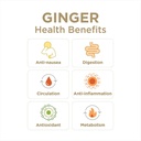ginger-soother-lemon-honey-gingerade-dig-5.jpg