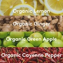 sol-ti-organic-ginger-supershot-sgl-2-1--5.jpg