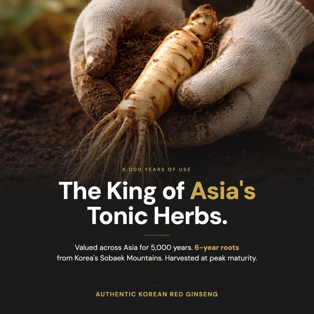 korean-red-ginseng-extract-sticks-1-500m-5.jpg