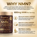nmn-supplement-1200mg-per-serving-120-ca-3.jpg