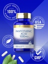 carlyle-pantothenic-acid-vitamin-b5-1000-5.jpg
