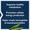 life-extension-pantothenic-acid-500-mg-v-4.jpg