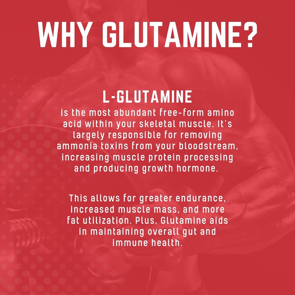 purus-labs-foundation-series-glutamine-p-5.jpg