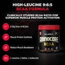 allmax-aminocore-bcaa-powder-for-workout-4.jpg