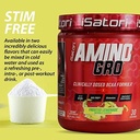 isatori-amino-gro-bcaa-powder-branched-c-3.jpg