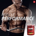 isatori-amino-gro-bcaa-powder-branched-c-4.jpg