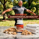 cardiovascular-balancer-pro-our-best-blo-5.jpg