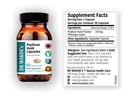 dr-wakde-s-psyllium-husk-capsules-isabgo-3.jpg