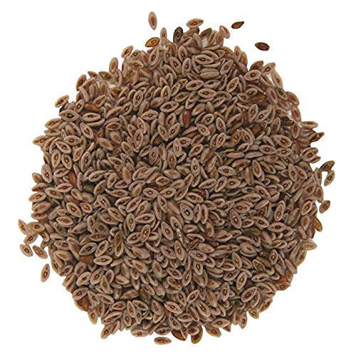 neotea-iskolvidai-isappakol-iskol-ispagh-2.jpg