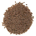 neotea-iskolvidai-isappakol-iskol-ispagh-2.jpg