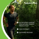 naturesplus-biotin-folic-acid-folate-30--4.jpg