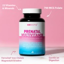gobiotix-prenatal-vitamins-for-women-mul-3.jpg