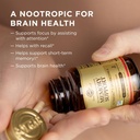 solgar-memory-support-brain-dietary-supp-3.jpg