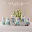 solaray-ginkgo-biloba-extract-with-gotu--6.jpg