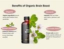 kailash-herbals-bacopa-organic-brain-boo-5.jpg