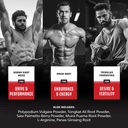 bundle-of-extra-strength-testosterone-bo-6.jpg