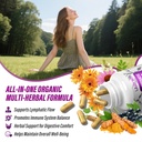 lymphatic-drainage-supplements-1540mg-ly-4.jpg