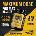 night-wolf-supps-ksm-66-organic-ashwagan-2.jpg