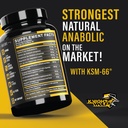 night-wolf-supps-ksm-66-organic-ashwagan-3.jpg