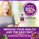 calcium-magnesium-zinc-gummies-with-high-6.jpg