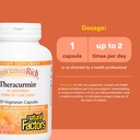 natural-factors-curcuminrich-theracurmin-3.jpg