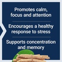 life-extension-ashwagandha-plus-calm-foc-4.jpg
