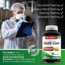 fito-medics-labs---mastic-gum-4000-mg-pe-6.jpg