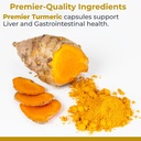 premier-research-labs-premier-turmeric-c-3.jpg