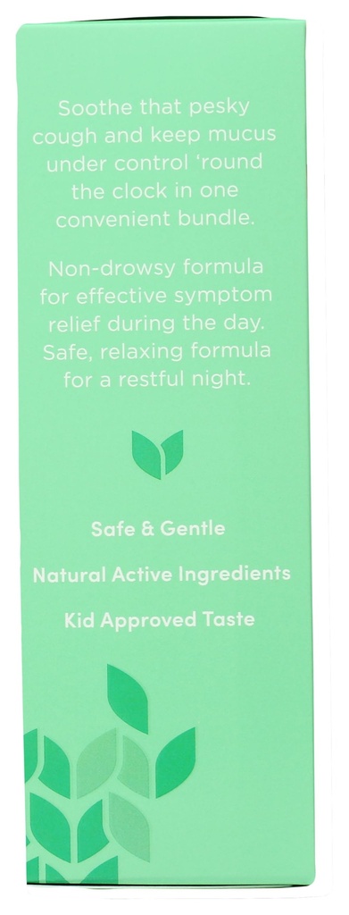 hyland-s-kids-cough-syrup-and-mucus-reli-4.jpg