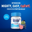 mucinex-children-s-mighty-chews-cold-and-2.jpg