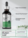 horb-ach-mullein-leaf-extract-drops-2-fl-4.jpg