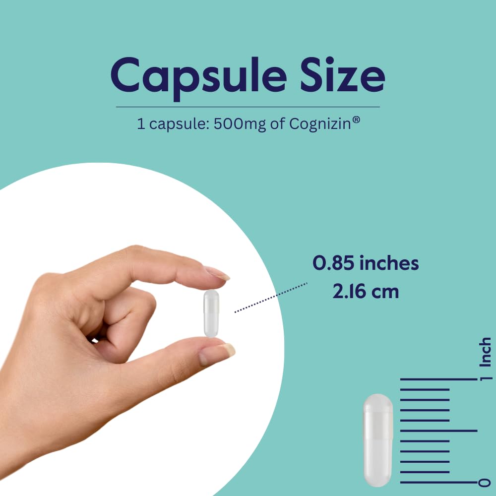 bestvite-cognizin-citicoline-500mg-60-ve-5.jpg