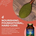 healthforce-superfoods-vitamineral-green-4.jpg