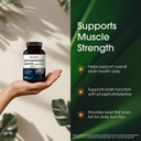 naturebell-phosphatidylserine-500mg-240--4.jpg