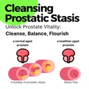 advanced-prostate-health-supplement-for--2.jpg