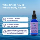 eidon-ionic-minerals-liquid-zinc-concent-5.jpg