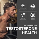 weider-prime-support-for-men-supports-en-4.jpg