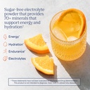 trace-minerals-hydro-pak-keto-electrolyt-2.jpg