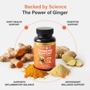 sleeve-stars-turmeric-curcumin-supplemen-4.jpg