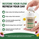 lymphatic-drainage-supplement-natural-he-3.jpg